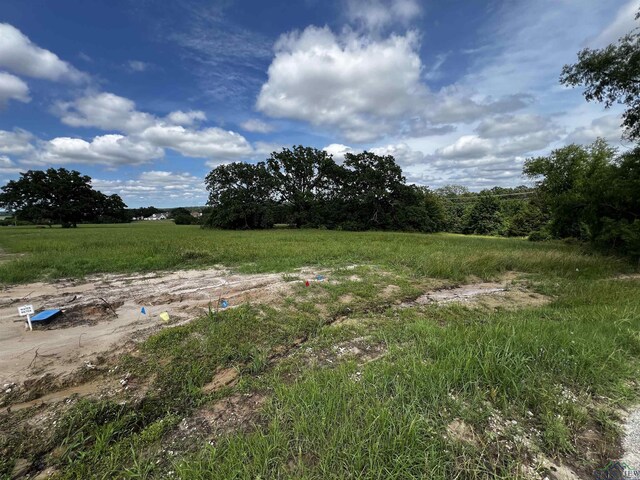 271 Overlook Pt, Athens, TX 75752 - photo 4