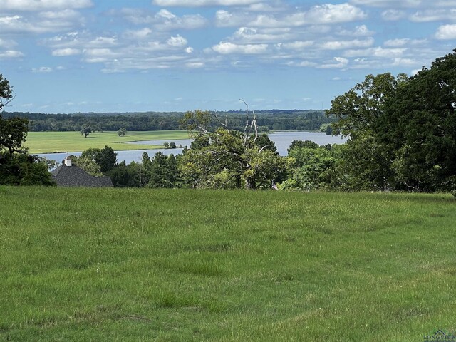 271 Overlook Pt, Athens, TX 75752 - photo 6