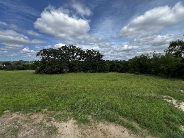271 Overlook Pt, Athens, TX 75752 - photo 5
