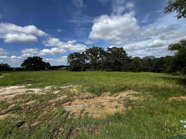 271 Overlook Pt, Athens, TX 75752 - photo 3