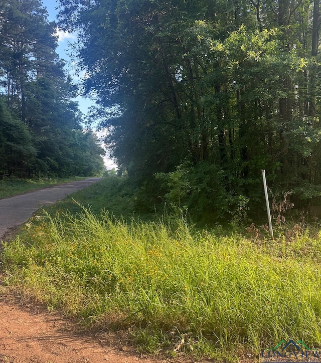 Lot174 Oakwood, Gilmer TX, 75645 land for sale