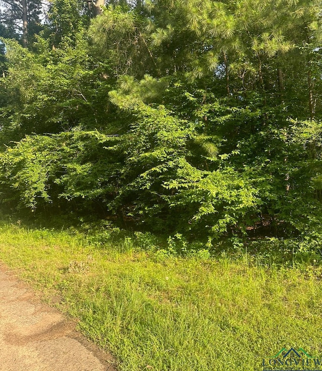 Listing photo 3 for Lot174 Oakwood, Gilmer TX 75645