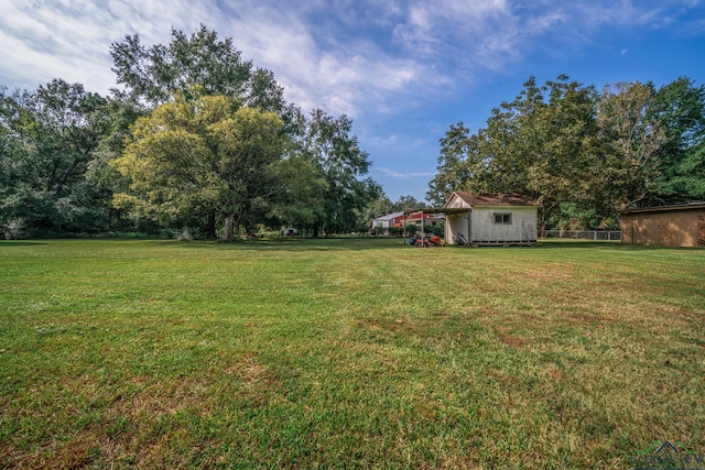 view of yard with a storage shed