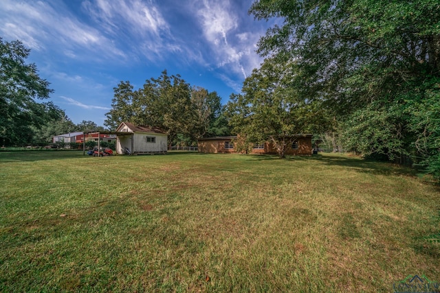 view of yard featuring a storage shed