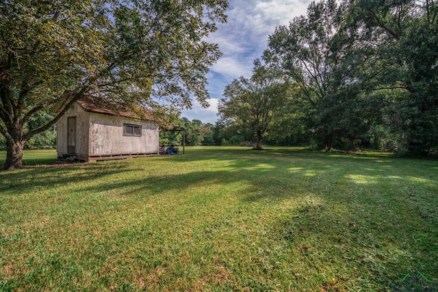 view of yard featuring a storage shed