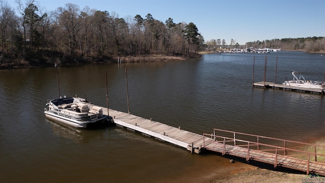 view of dock with a water view