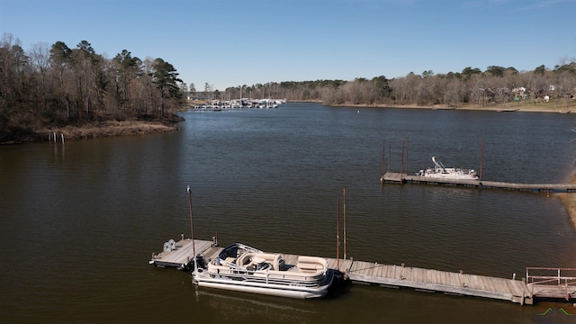 water view with a floating dock
