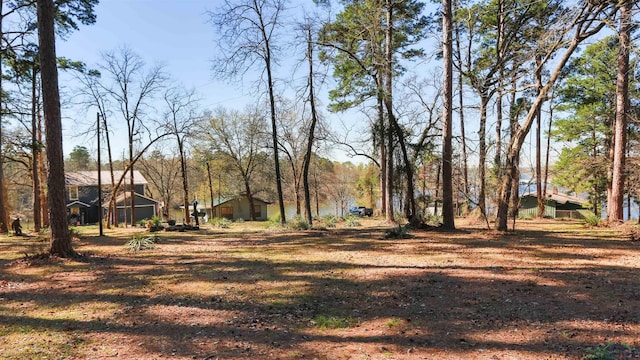 401 Tangiers, Jefferson, TX 75657 - photo 34
