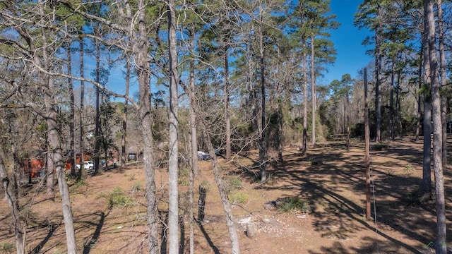 view of landscape featuring a wooded view