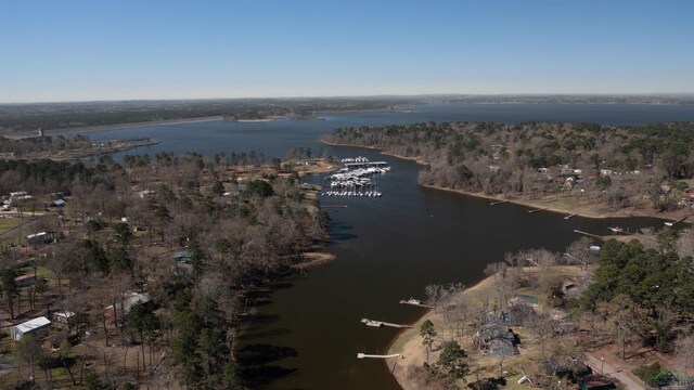 401 Tangiers, Jefferson, TX 75657 - photo 42