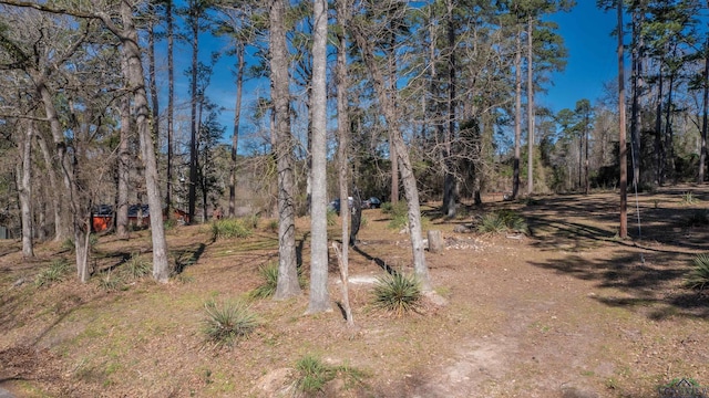 view of local wilderness