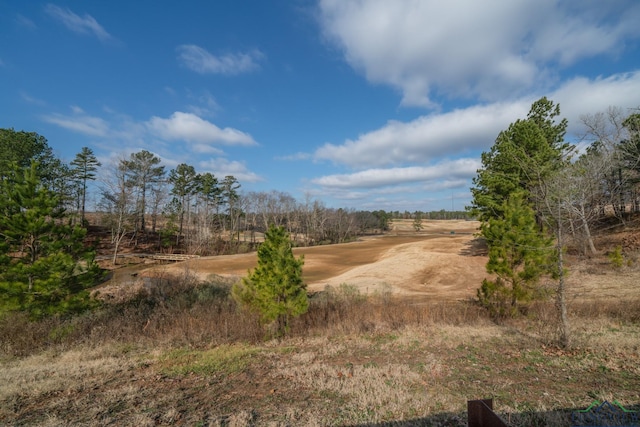 265 Magnolia Ln, Gladewater, TX 75647 - photo 47