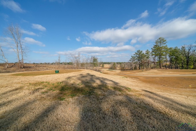 265 Magnolia Ln, Gladewater, TX 75647 - photo 44