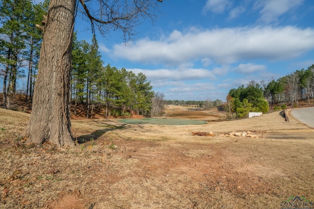 265 Magnolia Ln, Gladewater, TX 75647 - photo 45