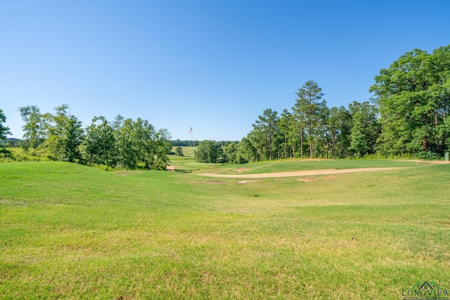 265 Magnolia Ln, Gladewater, TX 75647 - photo 40