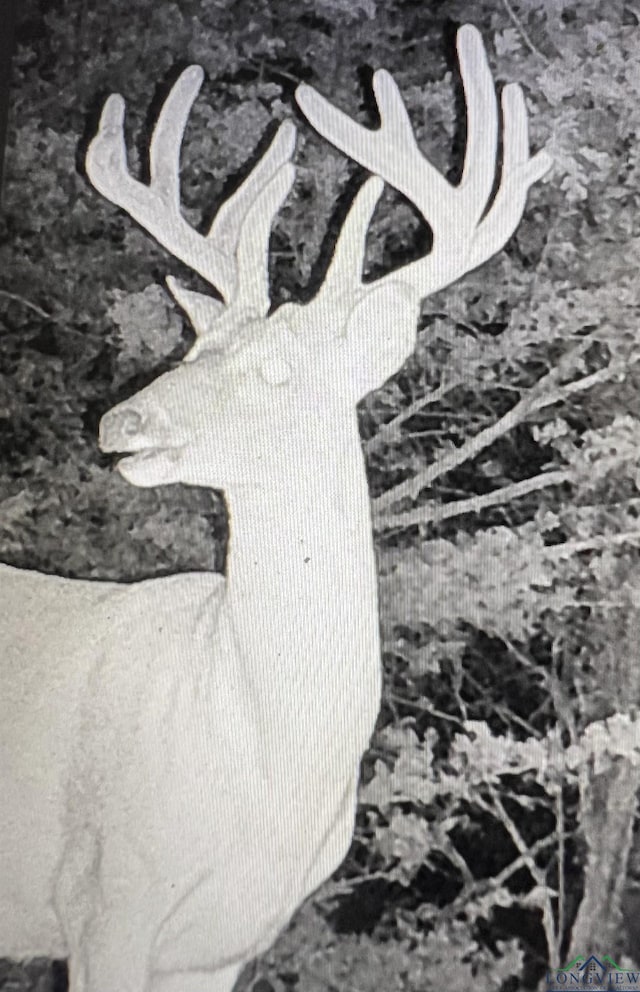 TBD Fcr 445, Fairfield, TX 75840