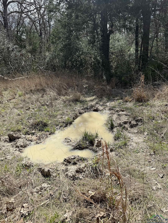 TBD Fcr 445, Fairfield, TX 75840