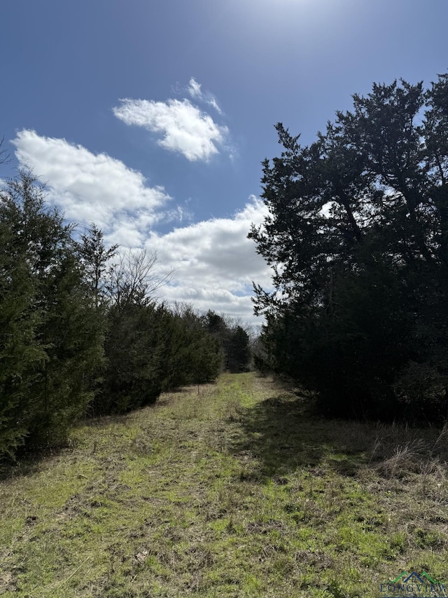 TBD Fcr 445, Fairfield, TX 75840