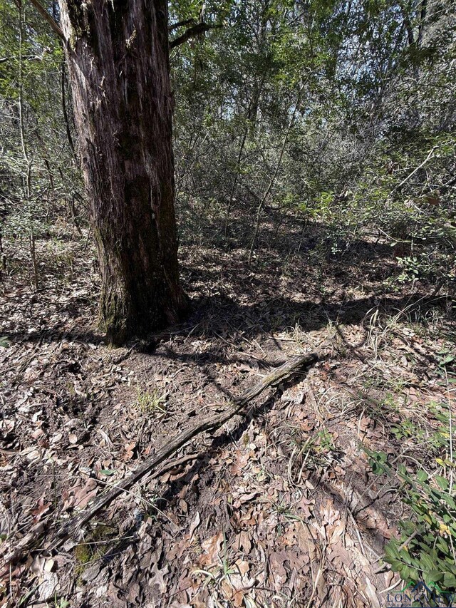 TBD Fcr 445, Fairfield, TX 75840
