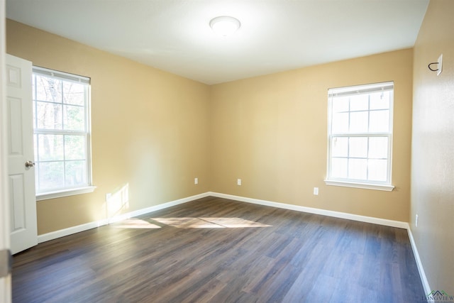 empty room featuring dark hardwood / wood-style flooring