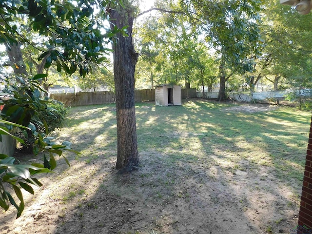 view of yard featuring a storage shed