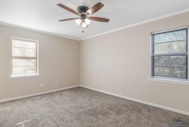 spare room with ornamental molding, ceiling fan, and carpet flooring