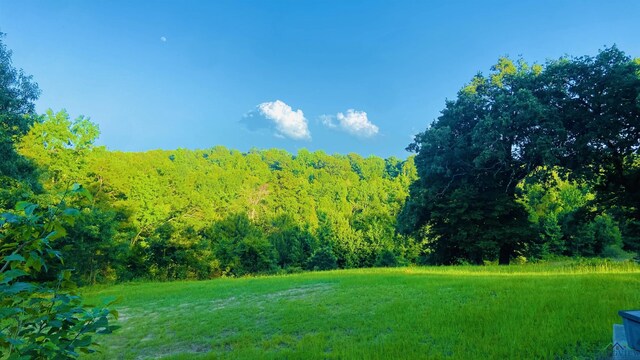 596 Anderson Rd, Harleton, TX 75651 - photo 2