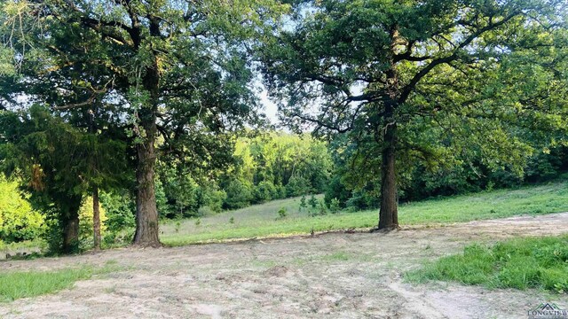 596 Anderson Rd, Harleton, TX 75651 - photo 3