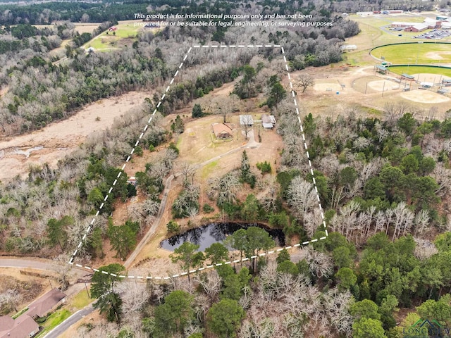 596 Anderson Rd, Harleton, TX 75651 - photo 26