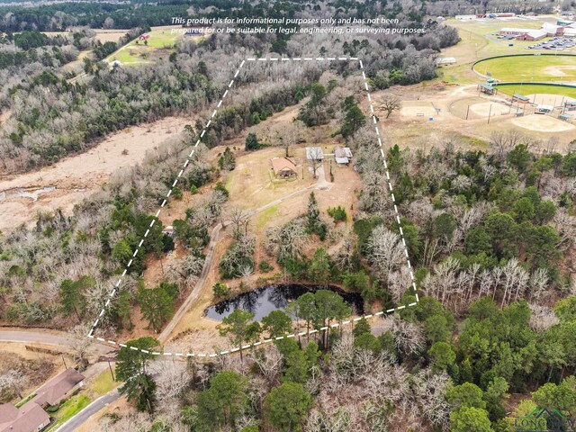 596 Anderson Rd, Harleton, TX 75651 - photo 27
