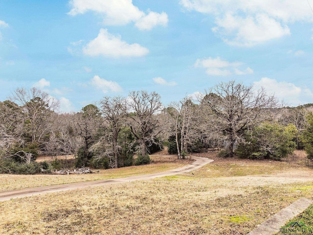 596 Anderson Rd, Harleton, TX 75651 - photo 24