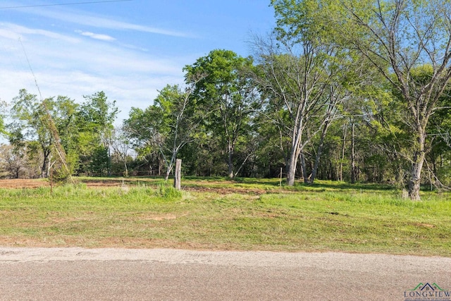 20301 County Road 450, Lindale TX, 75771 land for sale