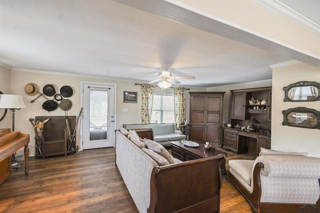 living room with dark hardwood / wood-style floors, ceiling fan, and crown molding