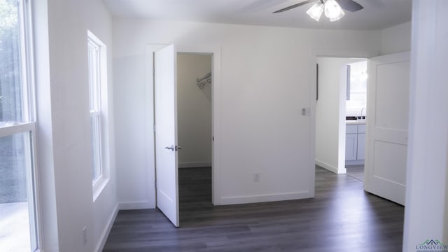 unfurnished bedroom with dark hardwood / wood-style flooring, ceiling fan, sink, a spacious closet, and a closet