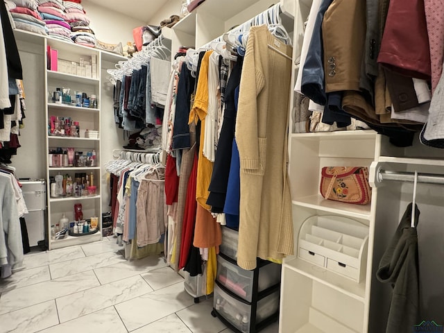 view of walk in closet