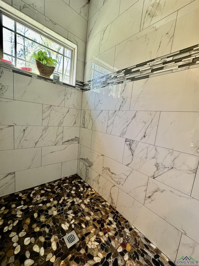 interior details with tiled shower