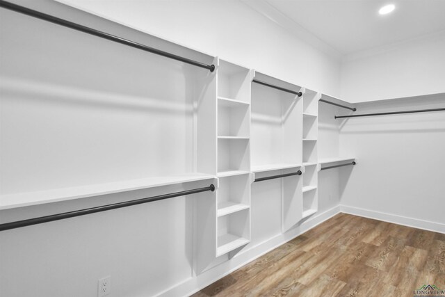 walk in closet featuring hardwood / wood-style floors