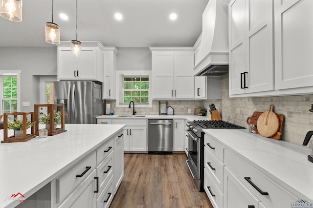 kitchen featuring custom exhaust hood, stainless steel appliances, plenty of natural light, and recessed lighting