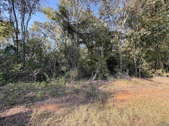 TBD Cr 4187, Henderson TX, 75652 land for sale