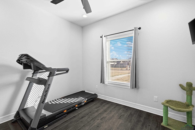 workout room featuring a wealth of natural light and dark wood-type flooring