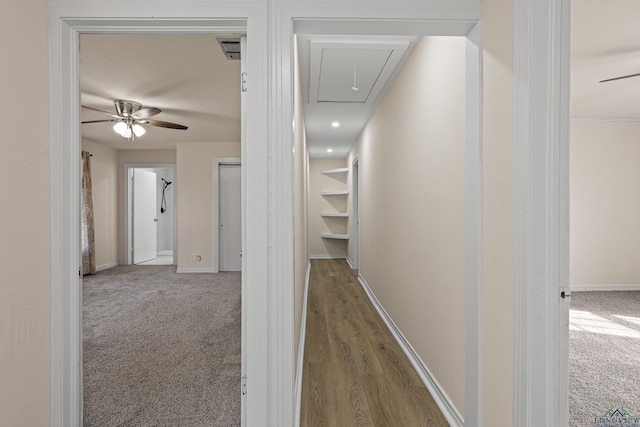 corridor featuring carpet floors