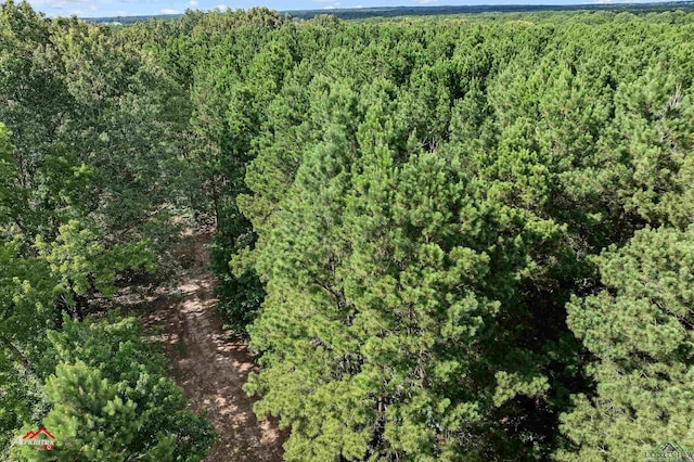TBD Hays Rd, Marshall, TX 75672 - photo 10