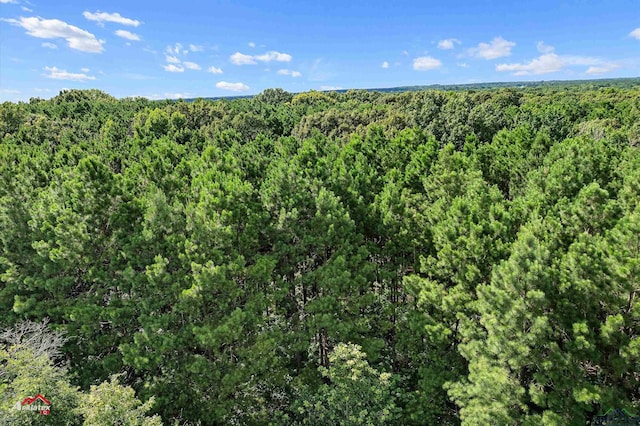 TBD Hays Rd, Marshall, TX 75672 - photo 9