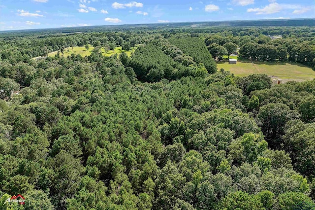 TBD Hays Rd, Marshall, TX 75672 - photo 6