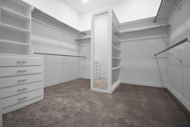 spacious closet with dark carpet