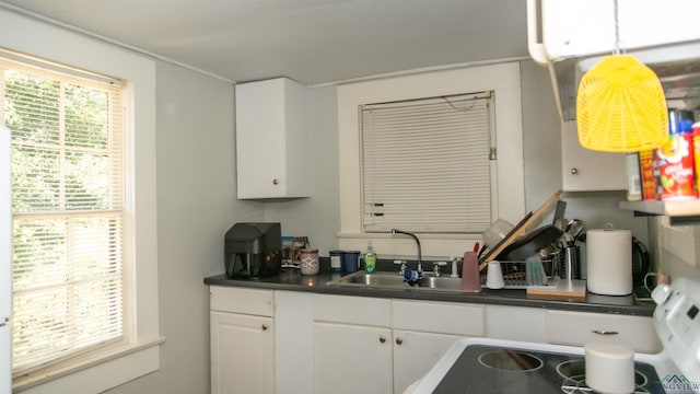 kitchen featuring white cabinetry, a wealth of natural light, and sink