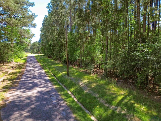 TBD Driftwood, Jefferson, TX 75657