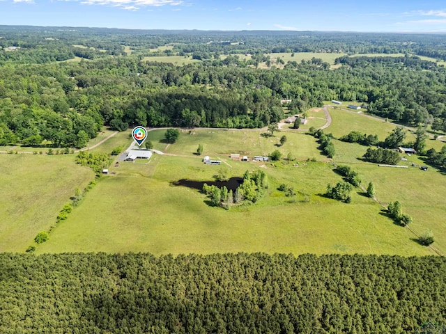8550 New Hope Rd, Diana, TX 75645 - photo 6