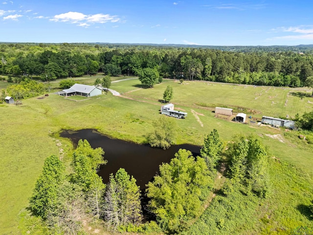 8550 New Hope Rd, Diana, TX 75645 - photo 7