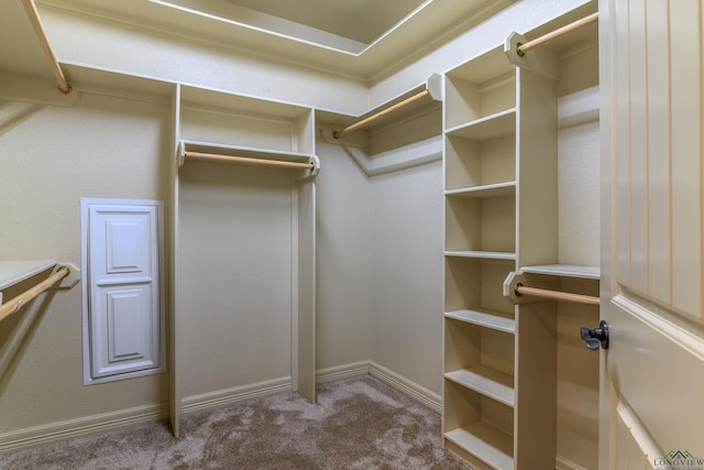 walk in closet featuring carpet flooring